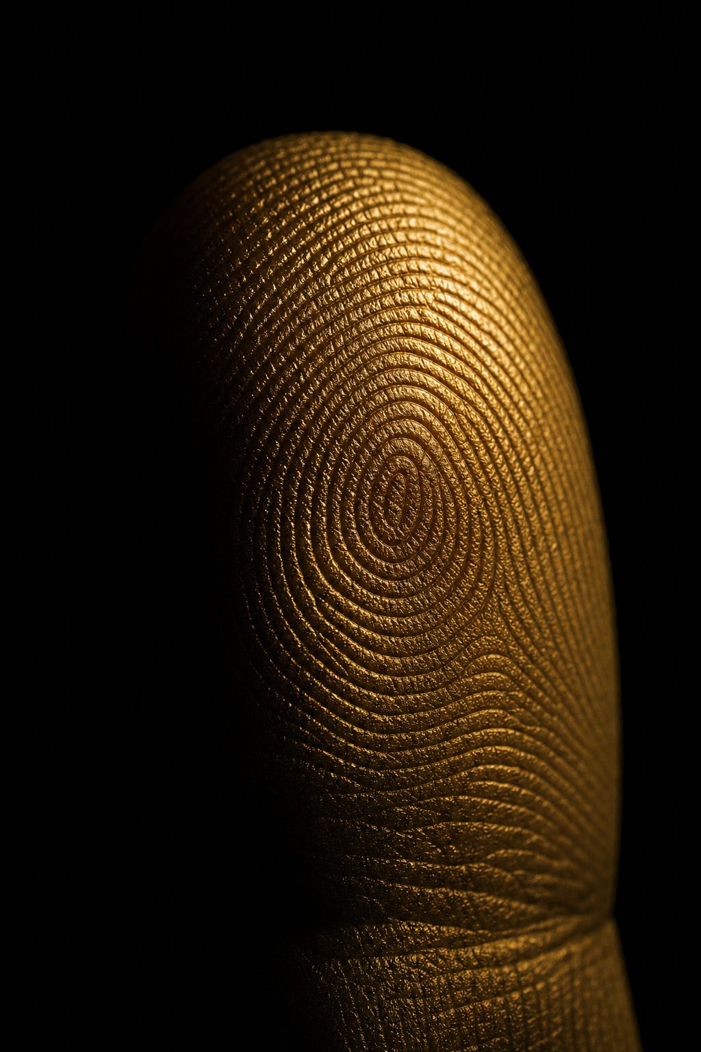 Background check investigation
